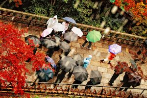 mua-thu-tai-nhat-ban-06