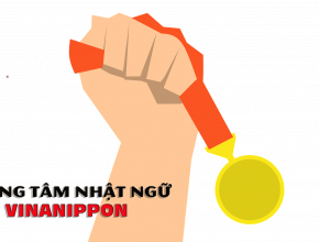 thanh-tich-dat-duoc-vinanippon