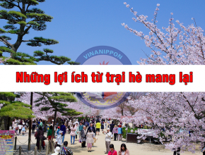 nhung-loi-ich-tu-trai-he-mang-lai-03