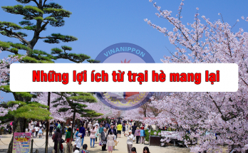 nhung-loi-ich-tu-trai-he-mang-lai-03