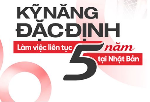visa-ky-nang-dac-dinh-nhat-ban