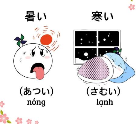 cac-cap-tu-trai-nghia-trong-tieng-nhat