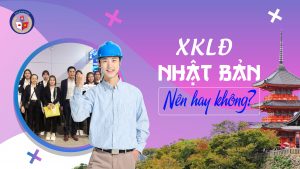 có nên đi xuất khẩu nhật bản