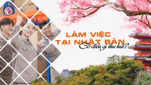 làm việc tại nhật